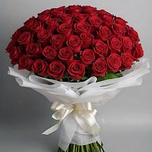 Букет 101 Красная роза Блэк Мэджик #REPLACE_PRED# Чиркее