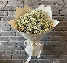 Букет цветов из:  Ромашки в Чиркее