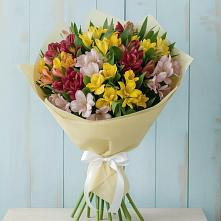Букет цветов из:  Альстромерии в Чиркее