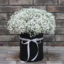 Цветочная композиция из Гипсофила в шляпной коробке #REPLACE_PRED# Чиркее