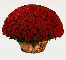 Премиум букет из: Розы в Чиркее