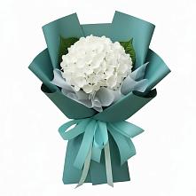 Букет цветов из:  Гортензия в Чиркее